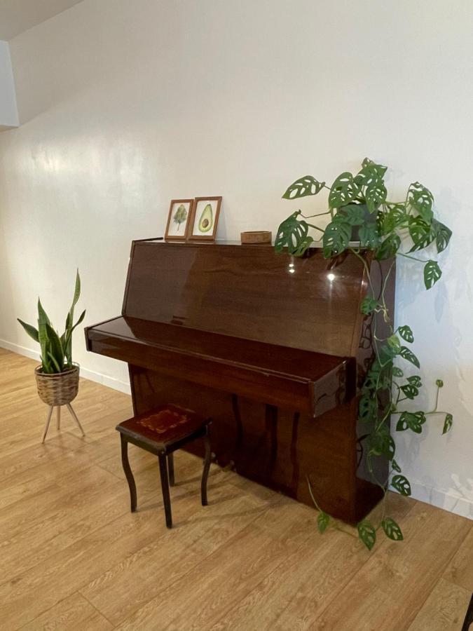 Apartment Amazing Vacation Flat